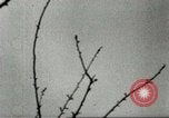 Image of Benedictine Monastery Cassino Italy, 1944, second 20 stock footage video 65675061460