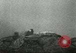 Image of Benedictine Monastery Cassino Italy, 1944, second 35 stock footage video 65675061460