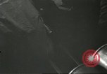 Standbild 5 Heer gun Crew Cassino Italien, 1944, aus Sekunde 13 historischem Filmmaterial Videoclip 65675061462