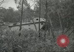 Image lady marines United States USA, 1942, de la seconde 22 séquences d'archives historiques vidéo 65675061479