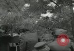Image lady marines United States USA, 1942, de la seconde 28 séquences d'archives historiques vidéo 65675061479