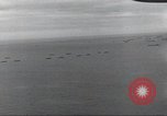 Image of Pre-invasion maneuvers United Kingdom, 1944, second 16 stock footage video 65675061502