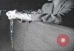 Immagine di Chiesa New York City USA, 1944, secondo 6 filmato di repertorio 65675061505