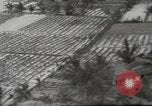 Immagine di 1 soldati di cavalleria Vietnam del Sud, 1967, secondo 22 filmato di repertorio 65675061506