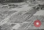 Immagine di 1 soldati di cavalleria Vietnam del Sud, 1967, secondo 25 filmato di repertorio 65675061506