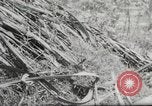 Immagine di 1 soldati di cavalleria Vietnam del Sud, 1967, secondo 59 filmato di repertorio 65675061506