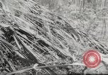 Immagine di 1 soldati di cavalleria Vietnam del Sud, 1967, secondo 62 filmato di repertorio 65675061506