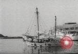 Immagine di Pacifisti americani Giappone, 1967, secondo 29 filmato di repertorio 65675061509