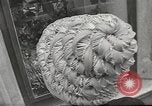 Immagine di Sfilata di moda Parigi Francia, 1967, secondo 14 filmato di repertorio 65675061511