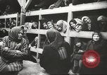 Image of Polish prisoners Poland, 1945, second 62 stock footage video 65675061515