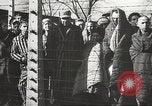 Image of prisoners Poland, 1945, second 3 stock footage video 65675061516