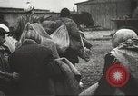 Standbild Gefangenen Polen, 1945, aus Sekunde 31 historischem Filmmaterial Videoclip 65675061517