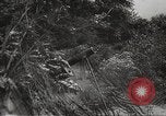 Image of Dwight Eisenhower Normandy France, 1944, second 56 stock footage video 65675061527