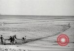 Immagine di I pescatori australiano Queensland Australia, 1944, secondo 36 filmato di repertorio 65675061530