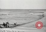 Immagine di I pescatori australiano Queensland Australia, 1944, secondo 39 filmato di repertorio 65675061530