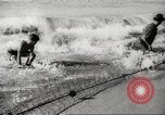 Immagine di I pescatori australiano Queensland Australia, 1944, secondo 53 filmato di repertorio 65675061530