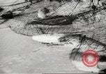Immagine di I pescatori australiano Queensland Australia, 1944, secondo 56 filmato di repertorio 65675061530