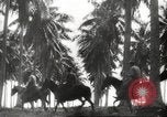 Standbild marines Pazifik, 1944, aus Sekunde 22 historischem Filmmaterial Videoclip 65675061531