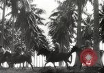 Standbild marines Pazifik, 1944, aus Sekunde 23 historischem Filmmaterial Videoclip 65675061531