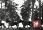 Standbild marines Pazifik, 1944, aus Sekunde 24 historischem Filmmaterial Videoclip 65675061531