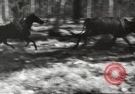 Standbild marines Pazifik, 1944, aus Sekunde 26 historischem Filmmaterial Videoclip 65675061531