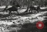 Standbild marines Pazifik, 1944, aus Sekunde 27 historischem Filmmaterial Videoclip 65675061531