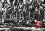 Standbild marines Pazifik, 1944, aus Sekunde 30 historischem Filmmaterial Videoclip 65675061531