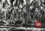 Standbild marines Pazifik, 1944, aus Sekunde 31 historischem Filmmaterial Videoclip 65675061531
