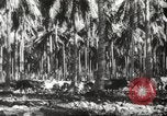 Standbild marines Pazifik, 1944, aus Sekunde 32 historischem Filmmaterial Videoclip 65675061531