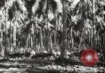 Standbild marines Pazifik, 1944, aus Sekunde 33 historischem Filmmaterial Videoclip 65675061531