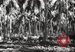 Standbild marines Pazifik, 1944, aus Sekunde 34 historischem Filmmaterial Videoclip 65675061531
