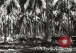 Standbild marines Pazifik, 1944, aus Sekunde 35 historischem Filmmaterial Videoclip 65675061531