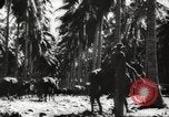 Standbild marines Pazifik, 1944, aus Sekunde 37 historischem Filmmaterial Videoclip 65675061531