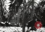 Standbild marines Pazifik, 1944, aus Sekunde 38 historischem Filmmaterial Videoclip 65675061531