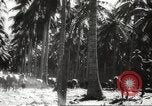 Standbild marines Pazifik, 1944, aus Sekunde 39 historischem Filmmaterial Videoclip 65675061531