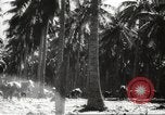 Standbild marines Pazifik, 1944, aus Sekunde 40 historischem Filmmaterial Videoclip 65675061531