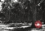 Standbild marines Pazifik, 1944, aus Sekunde 41 historischem Filmmaterial Videoclip 65675061531
