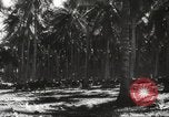 Standbild marines Pazifik, 1944, aus Sekunde 42 historischem Filmmaterial Videoclip 65675061531