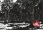 Standbild marines Pazifik, 1944, aus Sekunde 43 historischem Filmmaterial Videoclip 65675061531