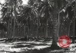 Standbild marines Pazifik, 1944, aus Sekunde 44 historischem Filmmaterial Videoclip 65675061531