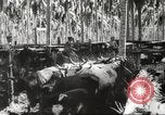 Standbild marines Pazifik, 1944, aus Sekunde 45 historischem Filmmaterial Videoclip 65675061531