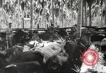 Standbild marines Pazifik, 1944, aus Sekunde 46 historischem Filmmaterial Videoclip 65675061531