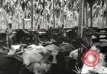 Standbild marines Pazifik, 1944, aus Sekunde 47 historischem Filmmaterial Videoclip 65675061531