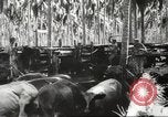 Standbild marines Pazifik, 1944, aus Sekunde 49 historischem Filmmaterial Videoclip 65675061531
