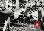 Standbild marines Pazifik, 1944, aus Sekunde 50 historischem Filmmaterial Videoclip 65675061531