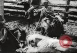 Standbild marines Pazifik, 1944, aus Sekunde 53 historischem Filmmaterial Videoclip 65675061531
