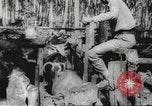 Standbild marines Pazifik, 1944, aus Sekunde 57 historischem Filmmaterial Videoclip 65675061531