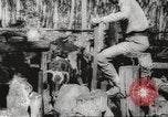Standbild marines Pazifik, 1944, aus Sekunde 58 historischem Filmmaterial Videoclip 65675061531