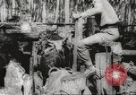 Standbild marines Pazifik, 1944, aus Sekunde 59 historischem Filmmaterial Videoclip 65675061531