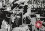 Standbild marines Pazifik, 1944, aus Sekunde 61 historischem Filmmaterial Videoclip 65675061531